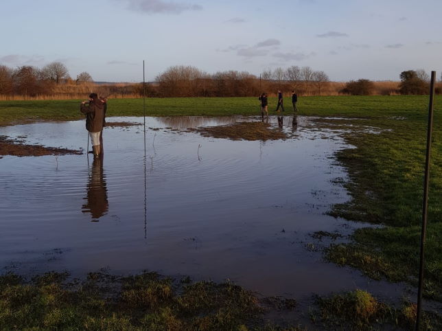 Setting nets at Exminster Marshes 1 Feb 2020 website